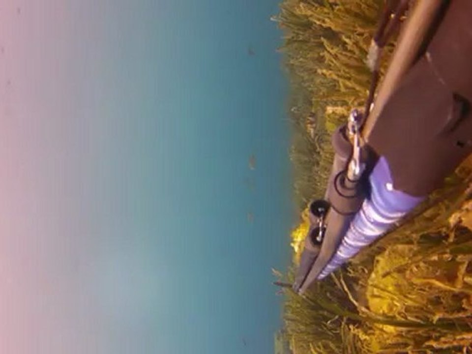 GOPR0050