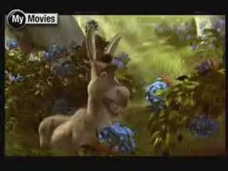 Shrek/Shrek 3D - review