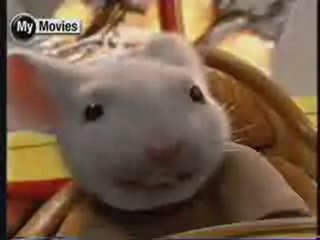 Stuart Little 2 - Clip 3