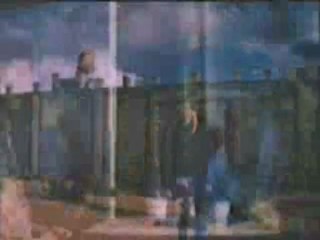 All the Pretty Horses