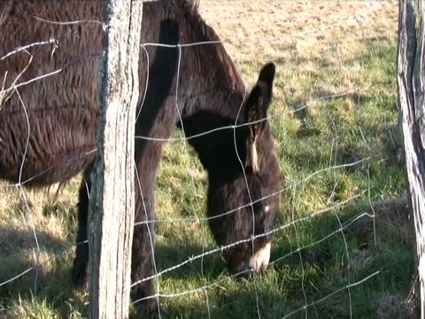 Les Champs Blancs site internet : monsite.orange.fr/chambredhote89