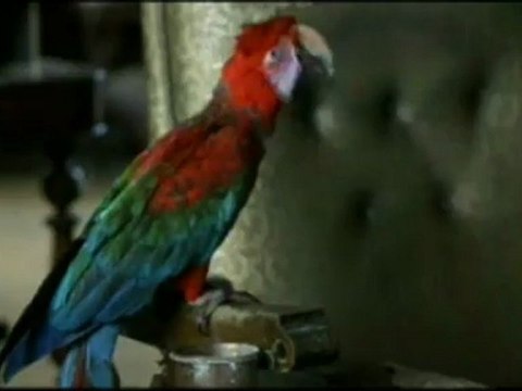 Our House - Clip - Shower