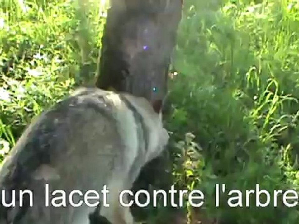 recherche utilitaire travail avec ou sans clicker pour les objets