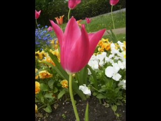 Tüm Annelerimize...