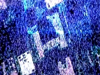 SWAT Target Liberty - Trailer 1