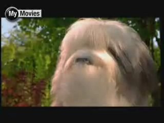 Cats and Dogs - Inside Info