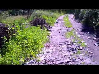 Aversa - Il degrado dell'area Cappuccini (11.05.12)