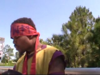 THE FIRST OF THE 4 BEASTS IN DANIEL VISION