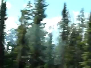 into the jasper wild