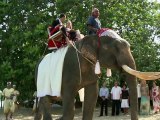 Amazing Miracles Thailand