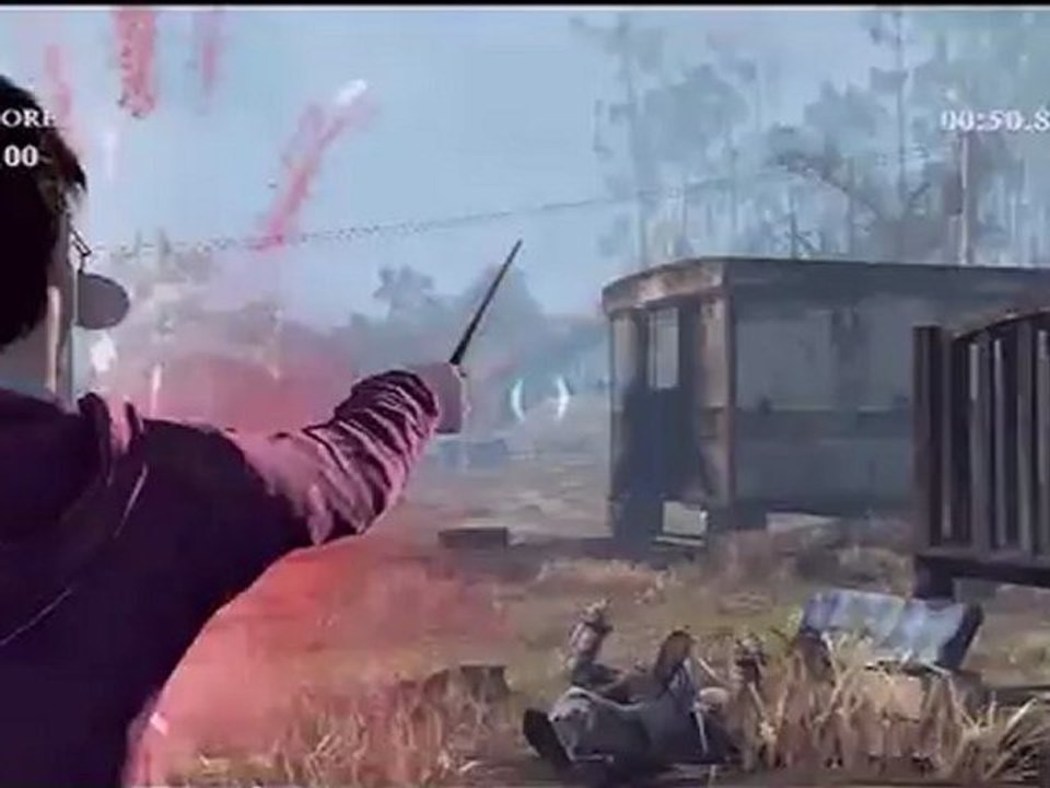 Harry Potter and the Deathly Hallows - Part 1 - Harry Potter And The Deathly Hallows - Part 1 - Survival Video