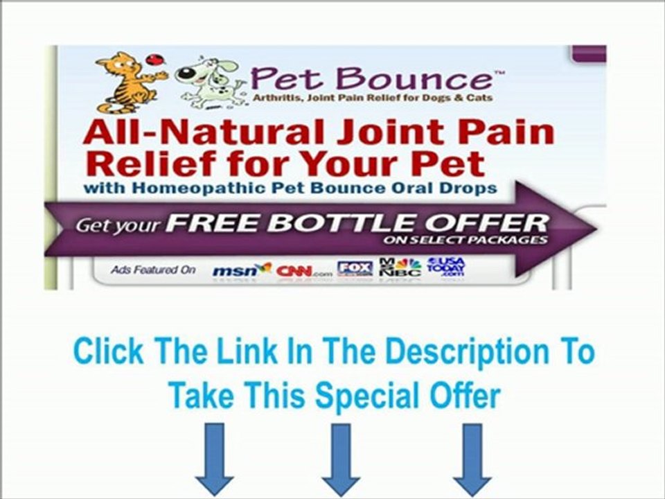 ★ Pet Bounce Review | Pet Joint Pain Relief ★