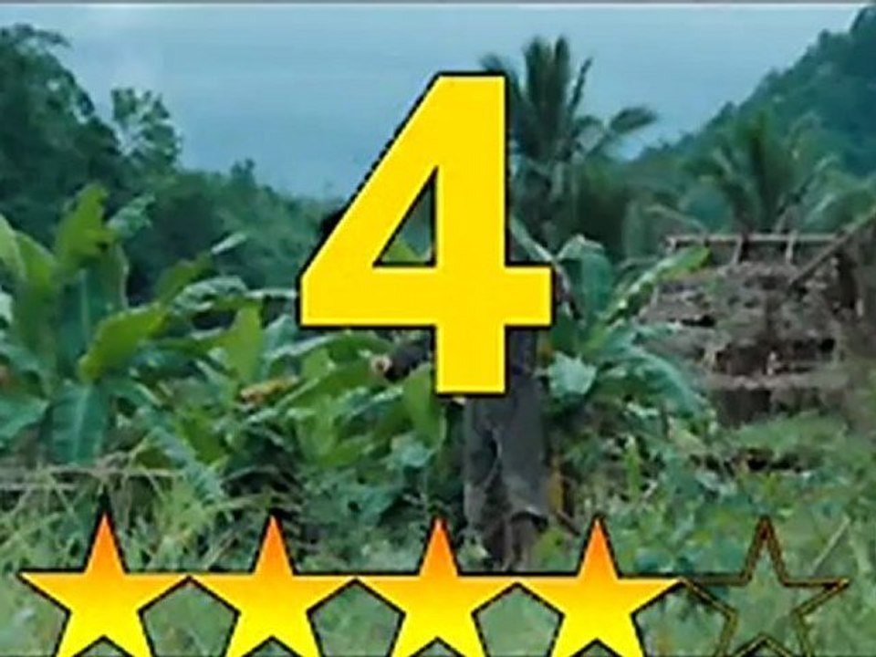 Rescue Dawn - review