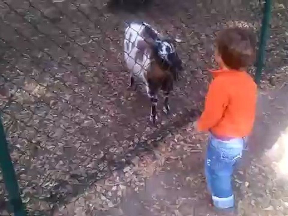 video-2012-05-12-18-11-43