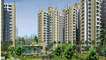 Prateek edifice noida | Prateek edifice | Best Dealer of Prateek edifice @ 09971495543 @ Sector-107 Noida