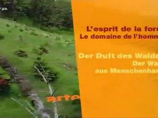L'esprit de la forêt