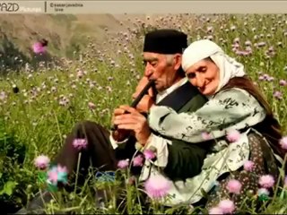 TONY SCHITO - Prigionieri mai