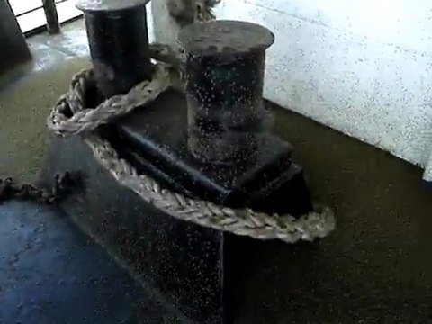 Millions de moucherons sur le bateau