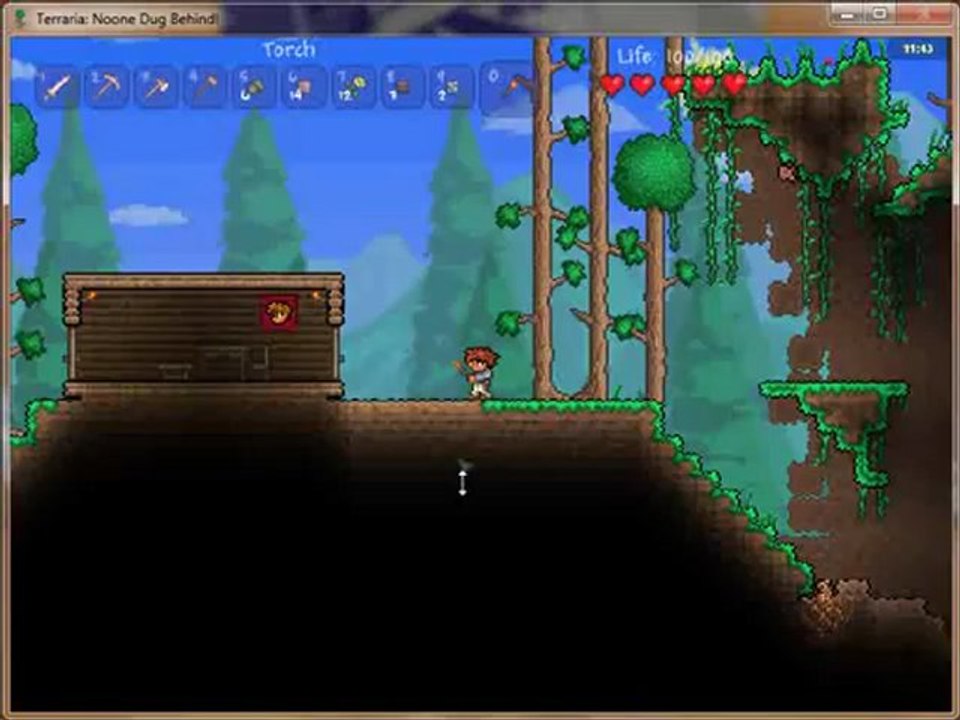 Let's show terraria