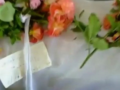 Activists: villagers slain by Syrian troops