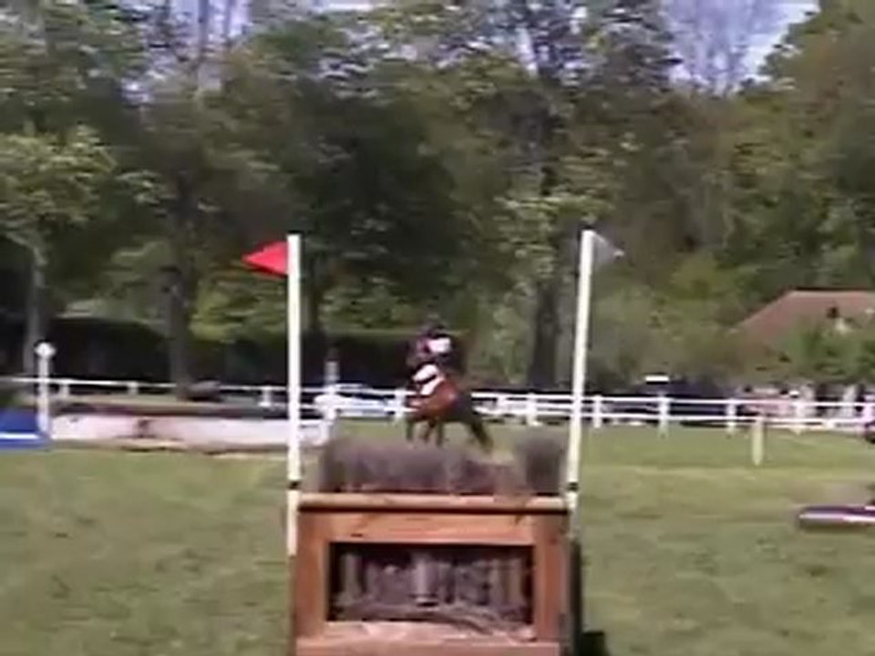 Un Quack cross Jardy Mai 2012