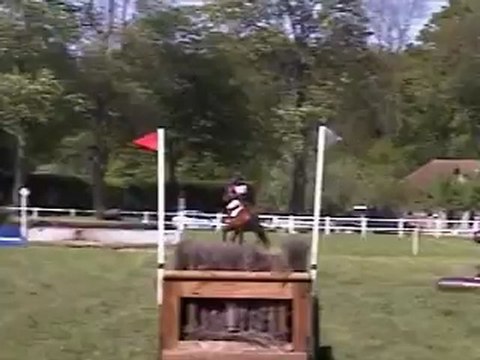 Un Quack cross Jardy Mai 2012