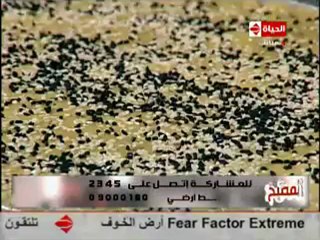 الشيف حسن كمال المحوجة