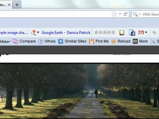 How To Be First On Google Beta Update