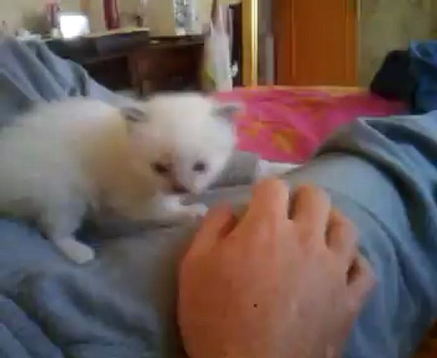 video-2012-05-13-15-31-21