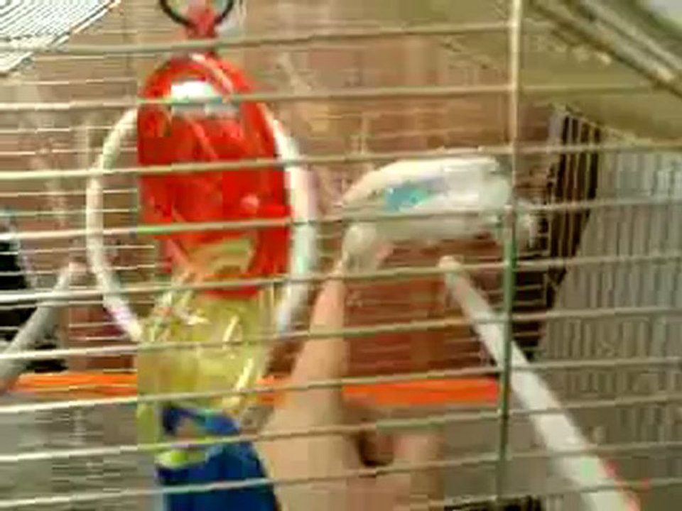 Paşanın kaçışı :D