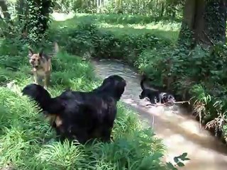 ballade du 13 mai 2012 002