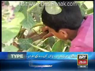 Criminals Most Wanted - 13th May 2012 part 1