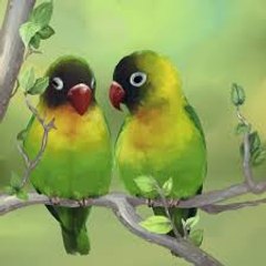 masaj salonu masoz kadıköy istanbul anadolu  masaj salonlar