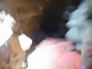 grotte du Houx 13 mai 2012 (11)