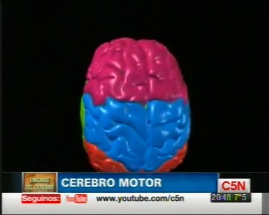 Neuronas espejo: Facundo Manes