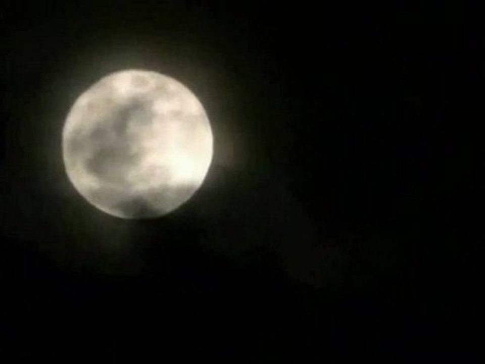 horror's night