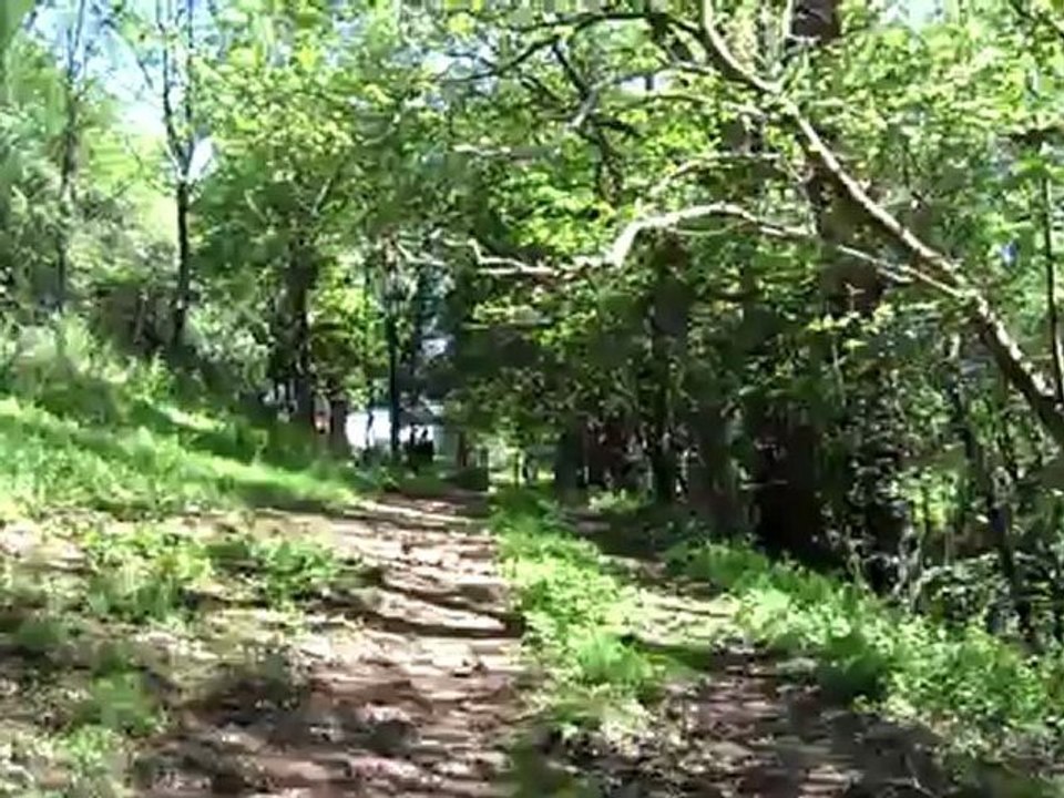 Quazac, son troupeau, son pré...