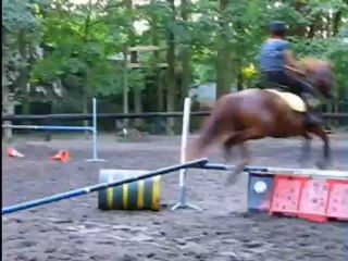 Salina des Joncs, Entrainement CSO Juin 2011