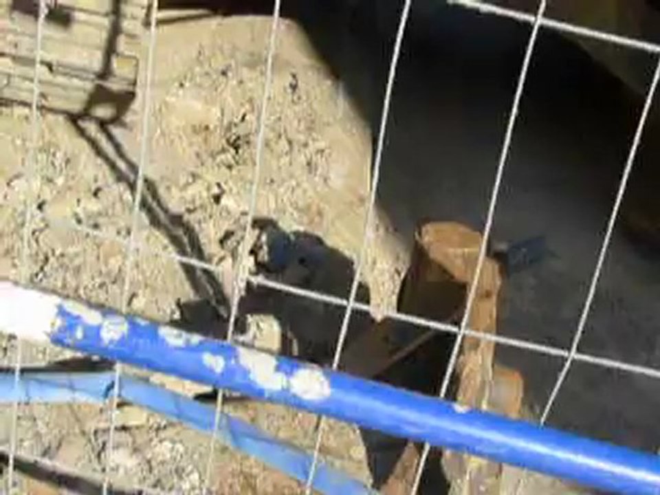 Scandale Ecologique - Chantier Bati-Nantes - L'eau propre pompée est reversée dans les égouts