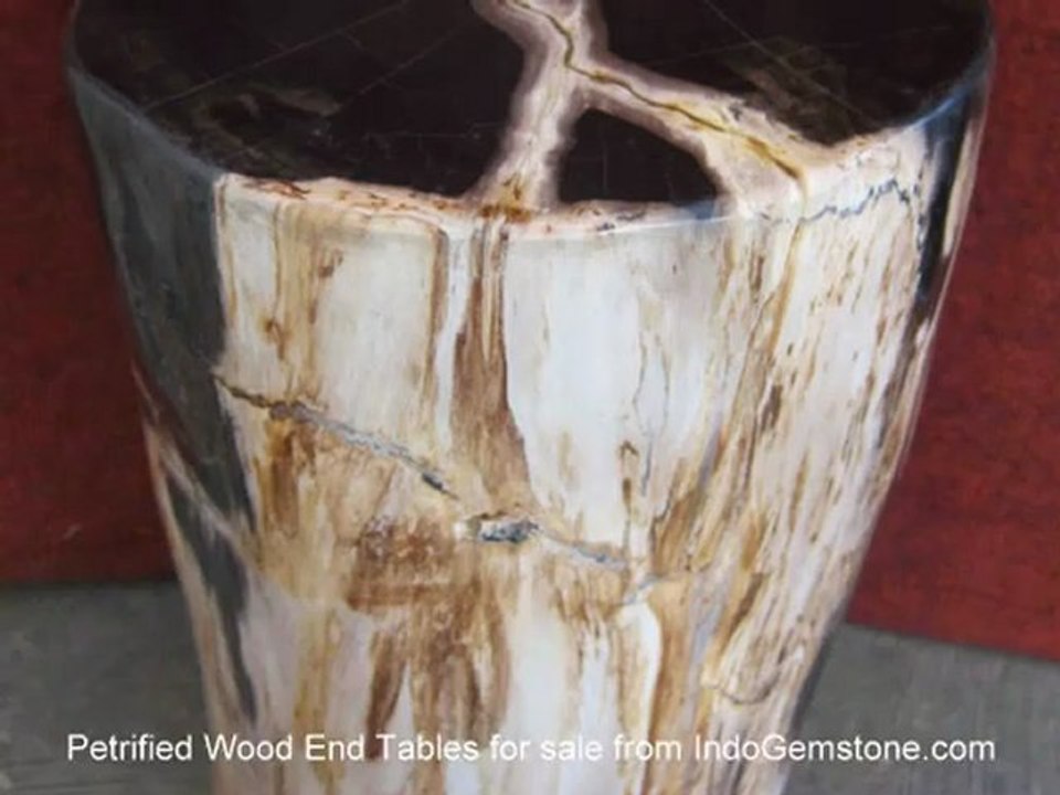 Petrified Wood End Tables