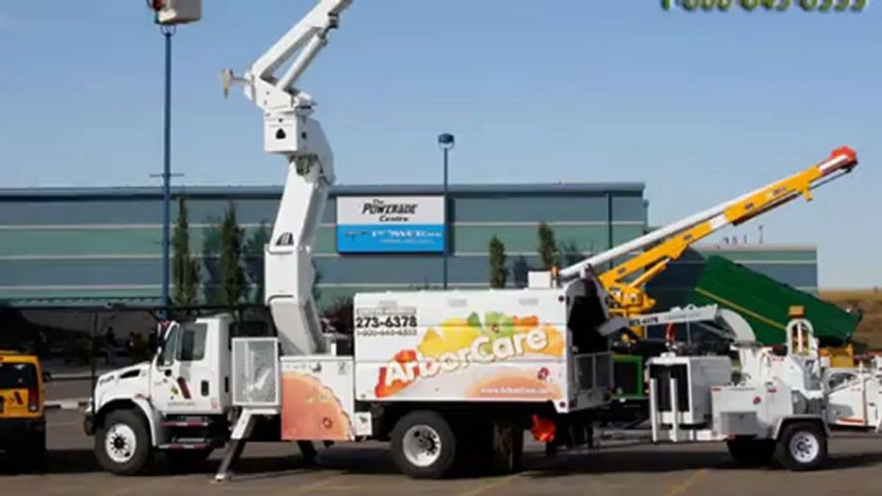 Tree Care Shepard Calgary Arborcare Tree Service Ltd
