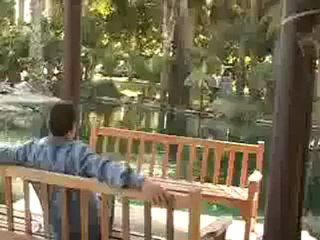 Juliana Jendo & Fareed Homeh _ Thalem Thalem