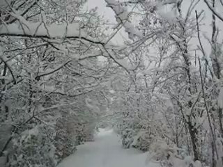 nevicata febbraio 2012