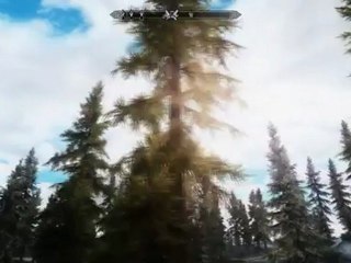 The Elder Scrolls V - Skyrim