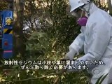 【日本語字幕付】南相馬市の除染風景（米CBS)／This Is How Decontamination Is Done in Fukushima (CBS) (Jan. 16, 2012)