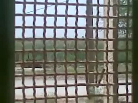 Syria فري برس ديرالزور موحسن اقتحام قرية البوحوري13 5 2012 Deirezzor