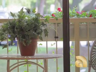 Plum Tree Apartments in Ellicott City, MD - ForRent.com