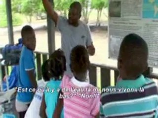 Renatura - film mangrove 2011