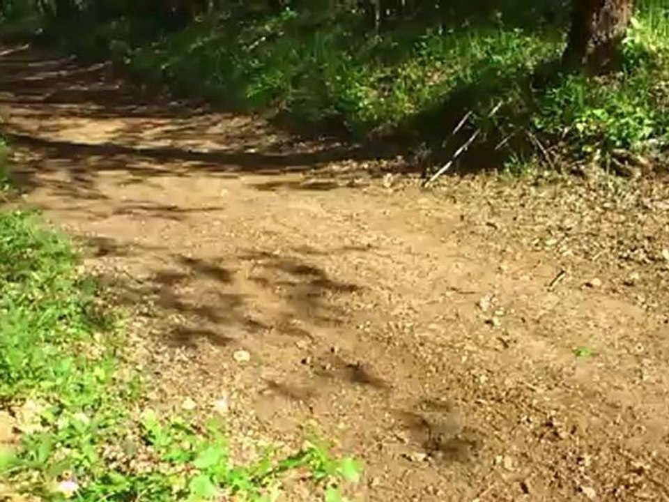 MOV_0043
