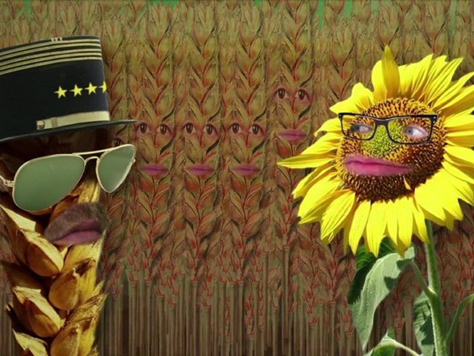 Les énergivOres : les Cultivés